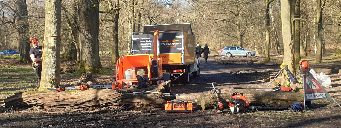 Tree Musketeers - Tree surgeon for Height Reduction in Herts